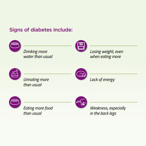 Signs of diabetes