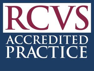 rcvs logo